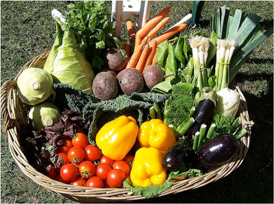 benefits-real-food.jpg The Benefits of Real Food